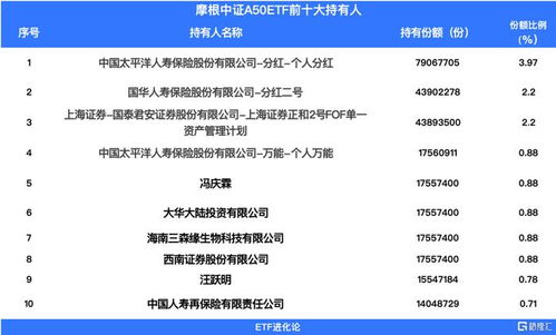 外資堅定入場 逆勢布局下的資產配置新動向